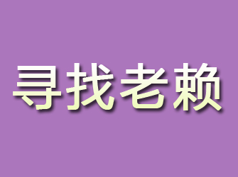 新田寻找老赖